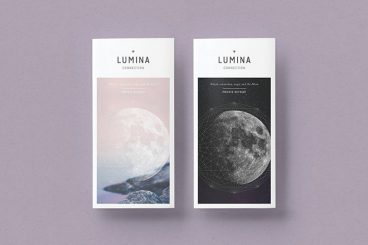 20+ Professional Brochure Templates & Designs