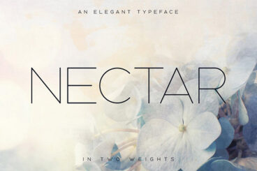 20+ Best Thin & Skinny Fonts