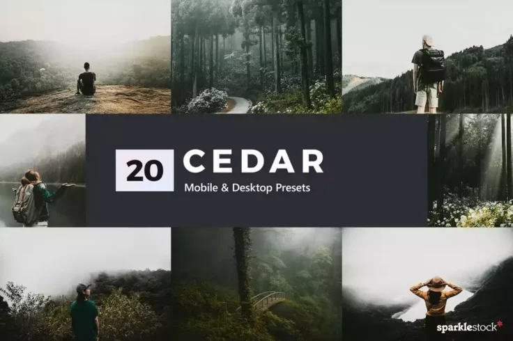 View Information about 20 Cedar Lightroom LUTs & Presets