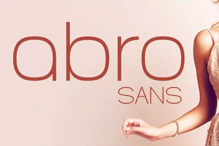 View Information about Abro Sans Font