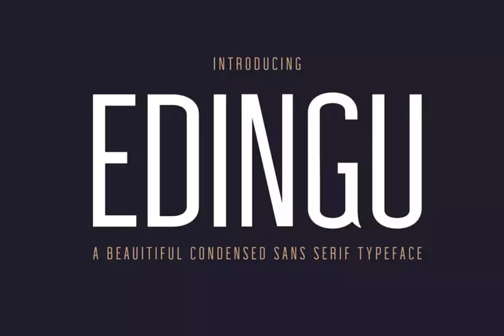 View Information about Edingu Condensed Sans Serif Font Family