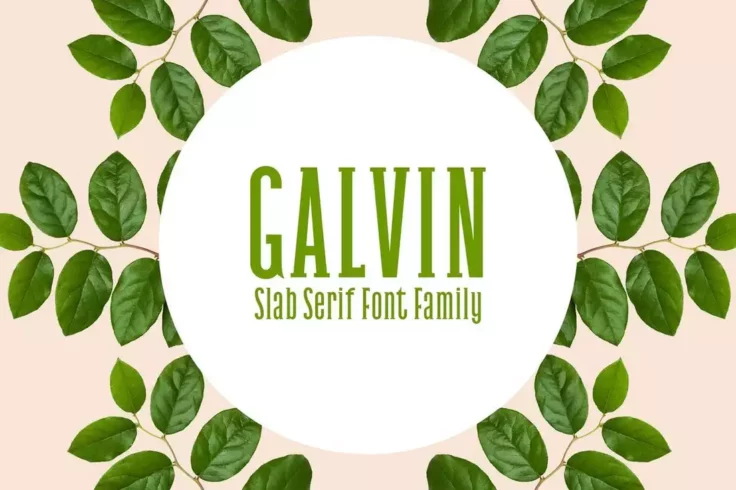 View Information about Galvin Slab Serif Font Family Pack