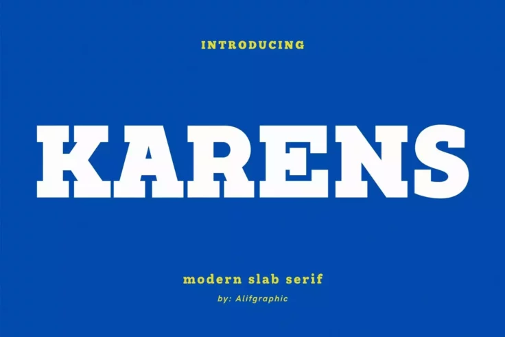 View Information about Karens Bold Slab Serif Foont