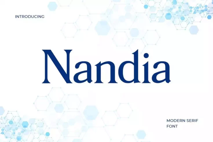 View Information about Nandia Modern Serif Font