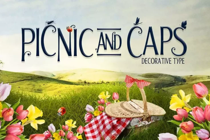 View Information about Picnic Caps Serif Font