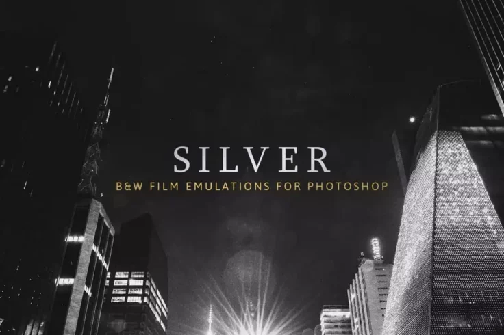 View Information about Silver 28 Real B&W Film Emulations