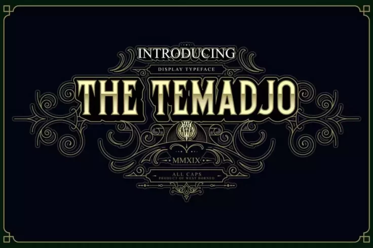 View Information about Temadjo Elegant Vintage Font