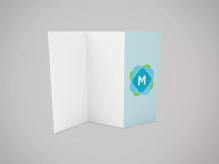 View Information about Tri-Fold Z Flyer Mockup